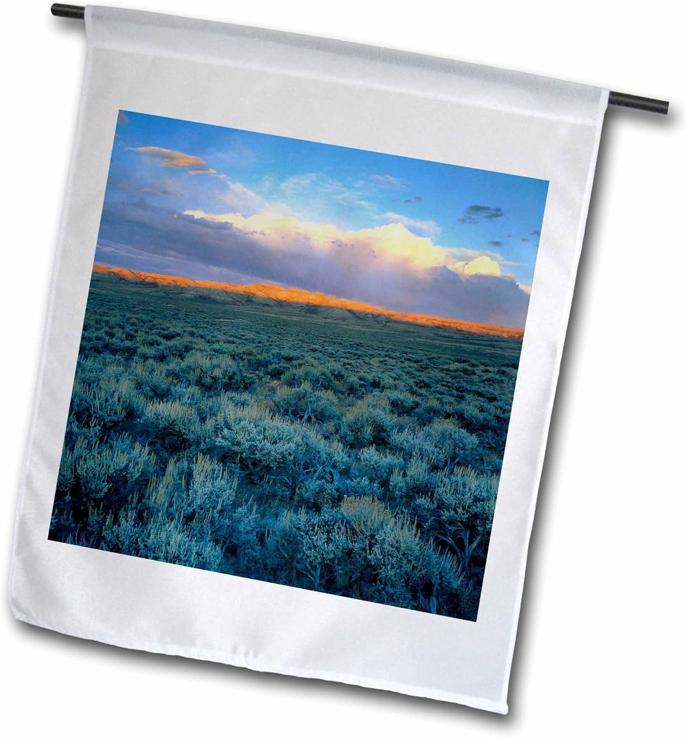 danita delimont–怀俄明州–怀俄明州, sagebrush